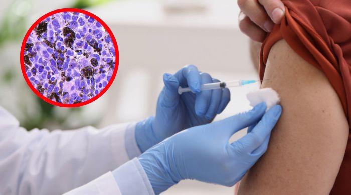 New personalized cancer vaccine cuts Melanoma recurrence risk by 42%, trial shows
